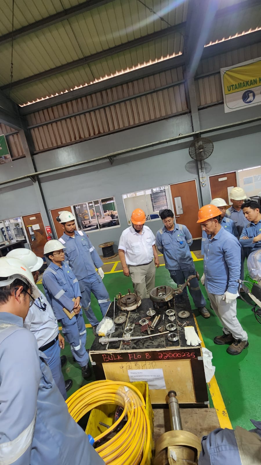 WhatsApp Image 2026-01-29 at 4.19.07 PM